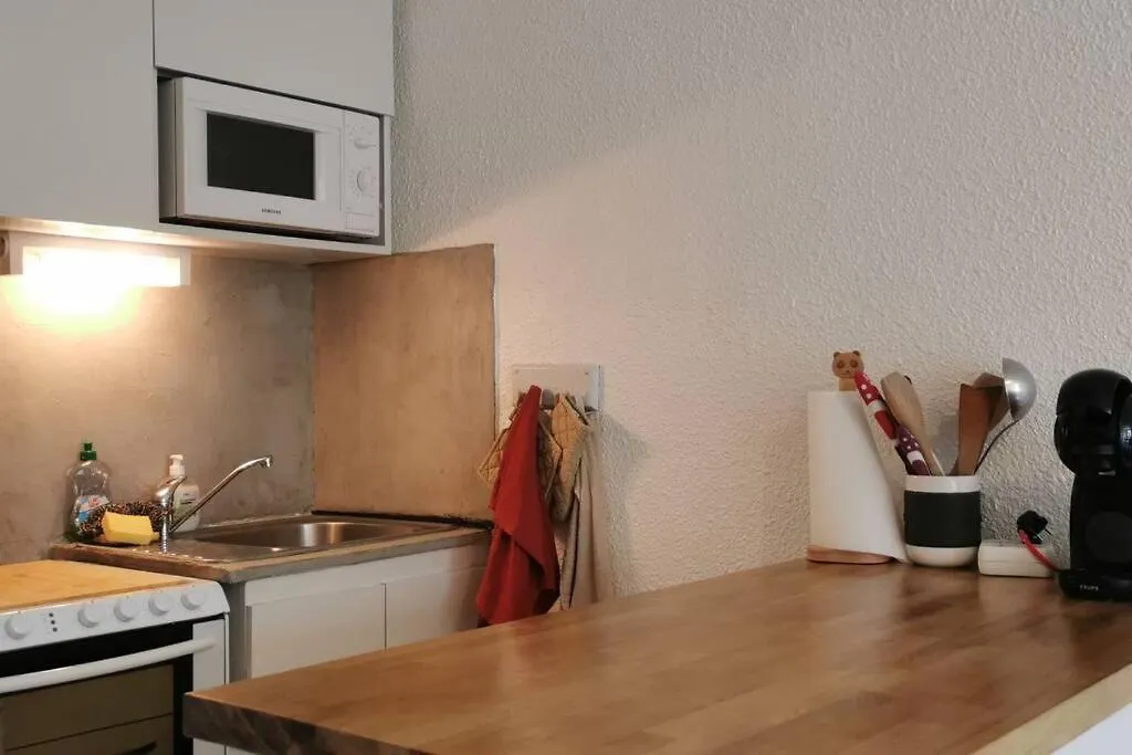 La Foux D'Allos : Studio Cosy Au Pied Des Pistes Vue Montagne Apartment France